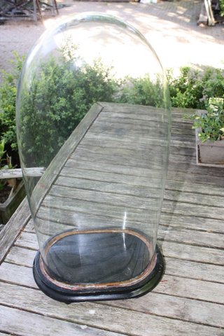 Antieke ovalen globe met zwarte voet H 50 cm